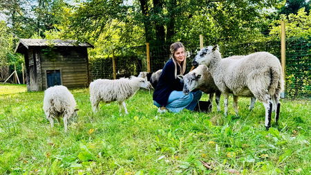 Ergotherapeutin hockt neben Schafen und streichelt diese